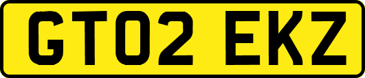 GT02EKZ
