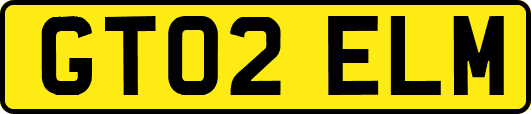GT02ELM