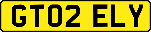 GT02ELY