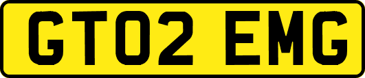 GT02EMG