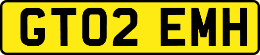 GT02EMH
