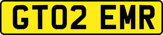 GT02EMR