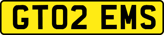 GT02EMS