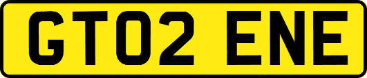 GT02ENE