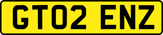 GT02ENZ