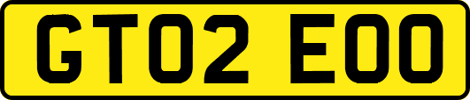 GT02EOO