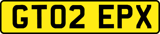 GT02EPX