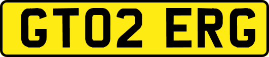 GT02ERG