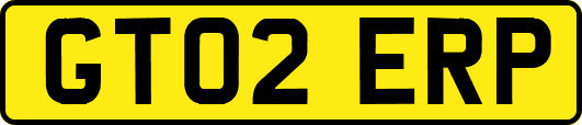 GT02ERP