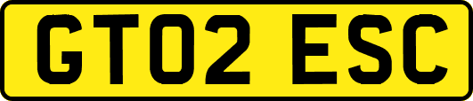 GT02ESC