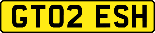GT02ESH