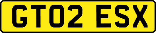 GT02ESX