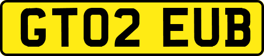 GT02EUB
