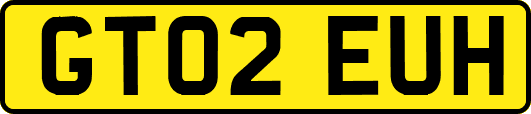 GT02EUH