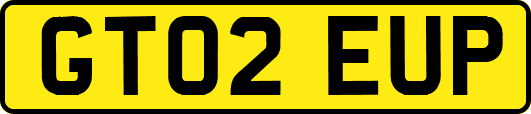 GT02EUP