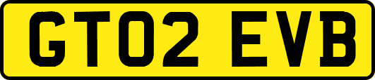 GT02EVB