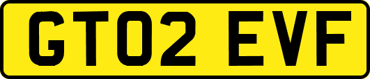 GT02EVF