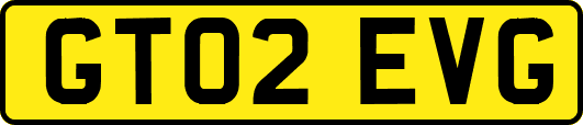 GT02EVG