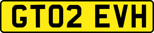 GT02EVH