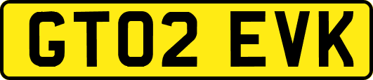 GT02EVK