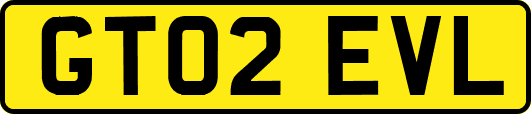 GT02EVL