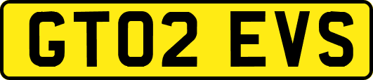 GT02EVS