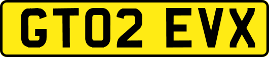 GT02EVX