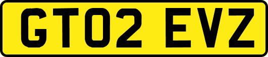 GT02EVZ
