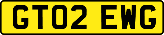 GT02EWG