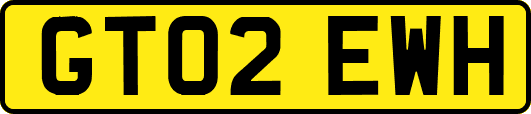 GT02EWH