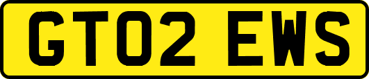 GT02EWS