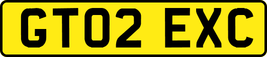 GT02EXC