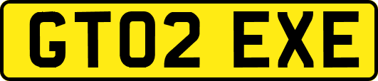 GT02EXE