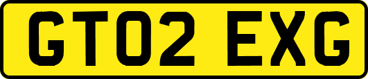 GT02EXG