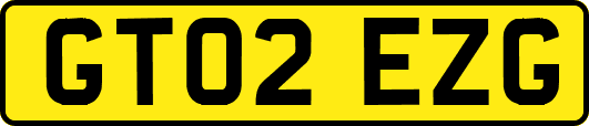 GT02EZG