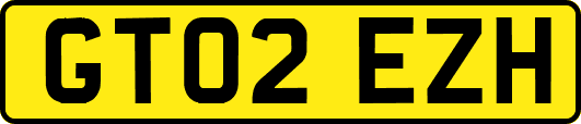GT02EZH