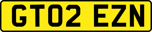 GT02EZN