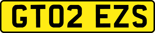 GT02EZS