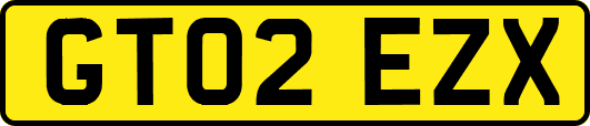 GT02EZX