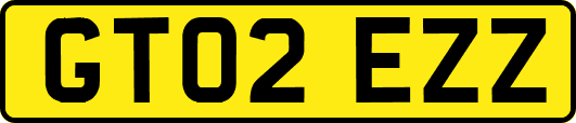 GT02EZZ