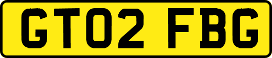 GT02FBG
