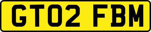 GT02FBM