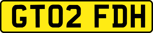 GT02FDH