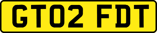 GT02FDT