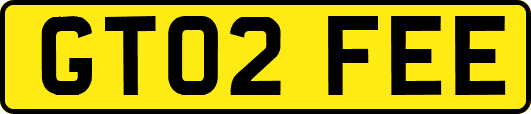 GT02FEE