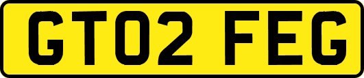 GT02FEG