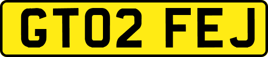 GT02FEJ