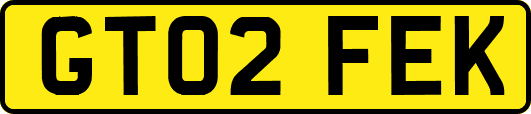 GT02FEK