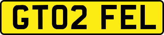 GT02FEL