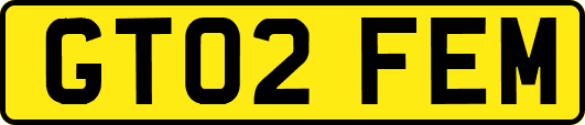 GT02FEM